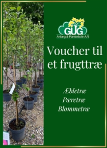 Voucher til frugttræ (fysisk gavekort) 